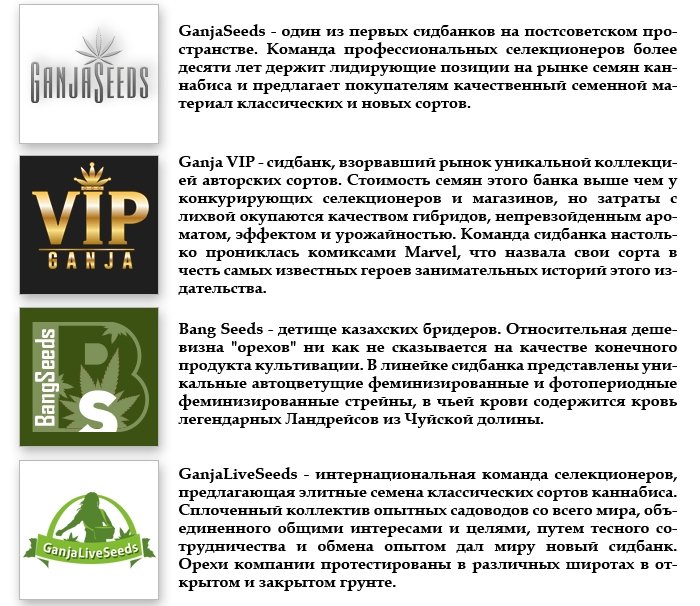 Семена конопли оптом - GanjaSeedsGroup