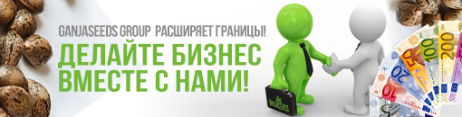 Выгодное партнерство с GanjaSeedsGroup