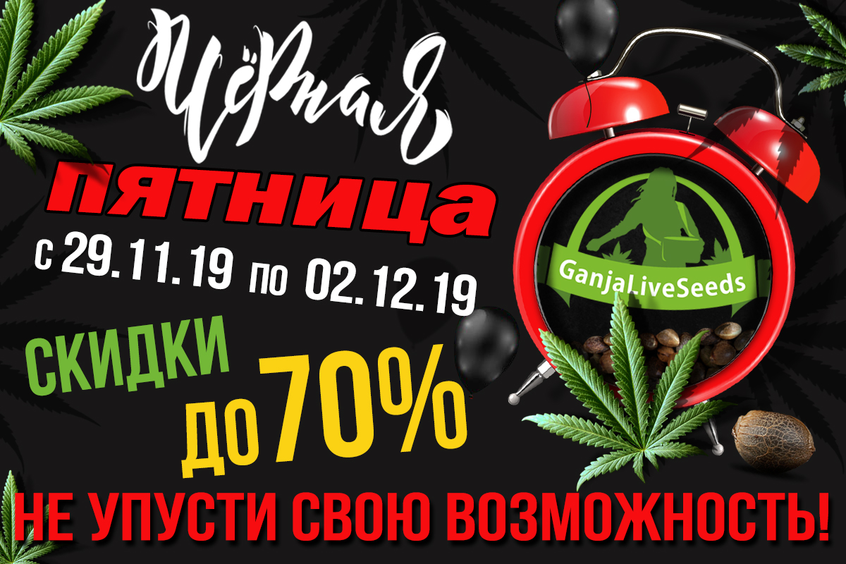 GanjaLiveSeeds приглашает на Black Friday!