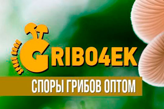 Споры грибов оптом - Gribo4ek