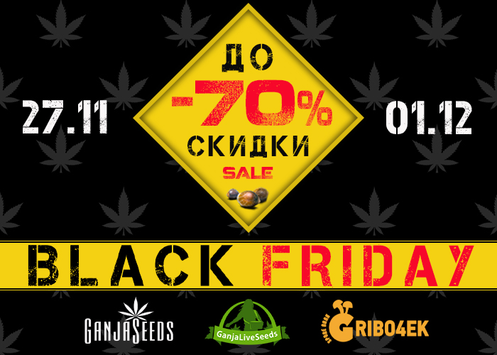 Black Friday