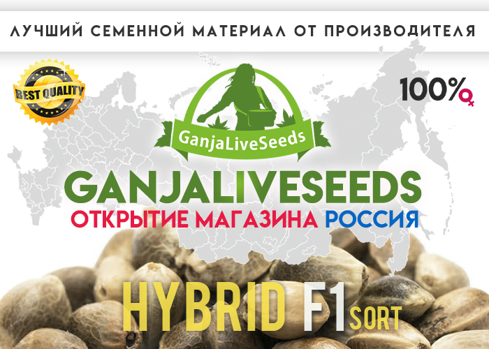 GanjaLiveSeeds теперь и в России!