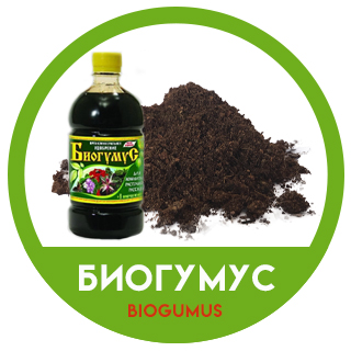Біогумус