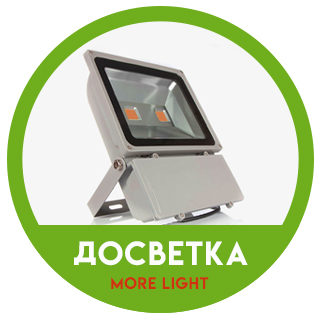 Досвітка канабісу