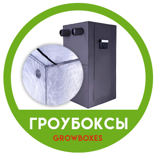 Гроубокси